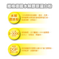 維格德國水解膠原蛋白粉180g